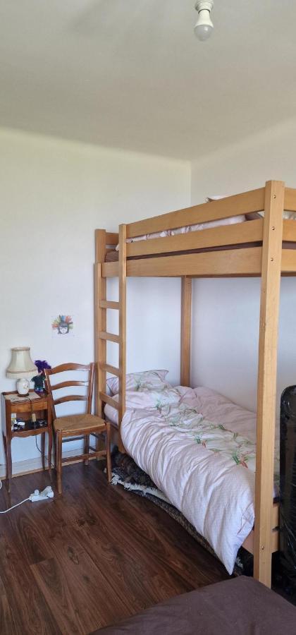 Le Bellevue 2 Apartment Thonon-les-Bains Ngoại thất bức ảnh