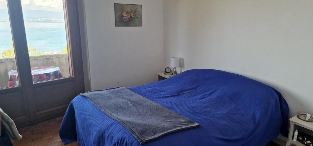 Le Bellevue 2 Apartment Thonon-les-Bains Ngoại thất bức ảnh