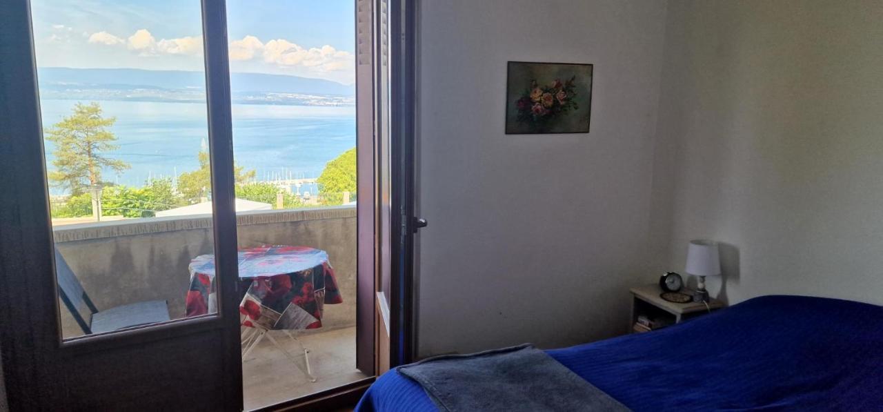 Le Bellevue 2 Apartment Thonon-les-Bains Ngoại thất bức ảnh